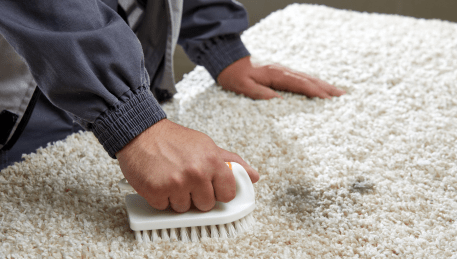 Professional Rug Cleaning Belgrave Heights