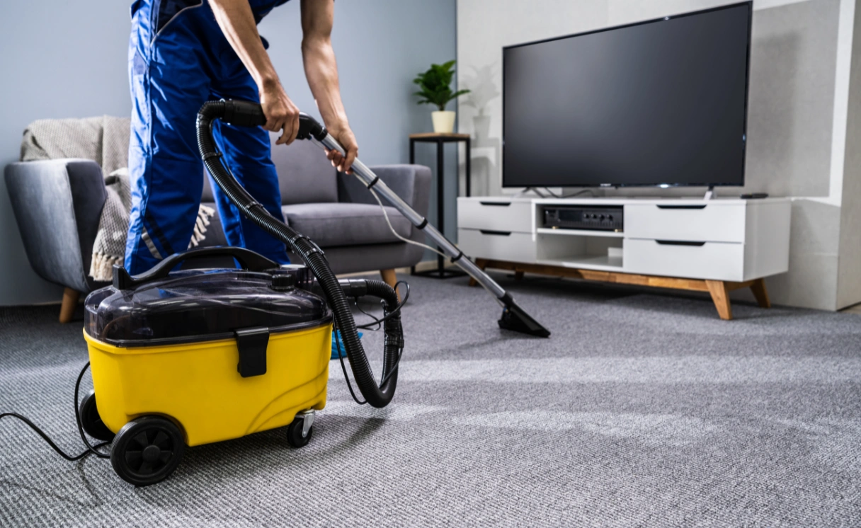 Extract Rug Cleaning Belgrave Heights Contact Office